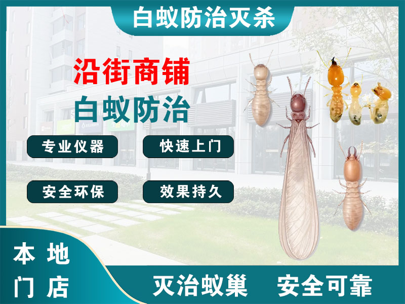 虹口区沿街商铺白蚁防治