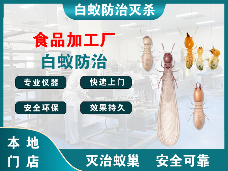 虹口区食品加工厂白蚁防治