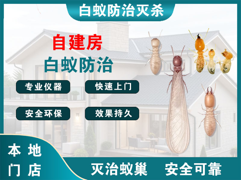 虹口区自建房白蚁防治