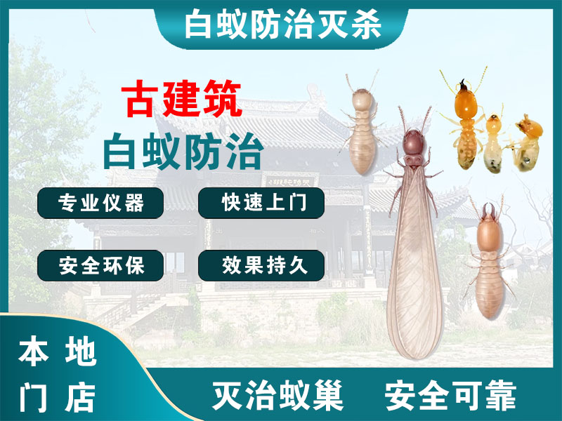 虹口区古建筑白蚁防治